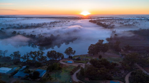 Caudo Vineyard Cellar Door - Southport Accommodation 1