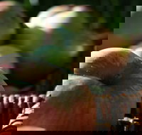 Denmark Heritage Cider Company - Southport Accommodation