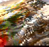 Merimbula Wharf - Southport Accommodation