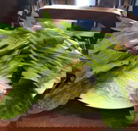 The Cube Hot Pot - Southport Accommodation