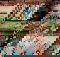 Wilderness Bar - Accommodation Southport