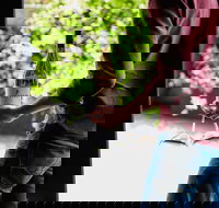 Giant Steps Cellar Door - Accommodation Southport