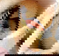 Post Office Cafe - Southport Accommodation