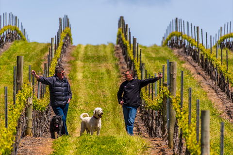 Tim Adams Wines - Southport Accommodation 2