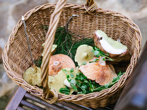 Villetta Porcini - Accommodation Southport 2