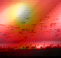 Barra Cafe on Riverview - Accommodation Southport