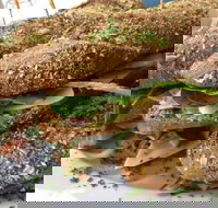 Bean Out - Accommodation Southport