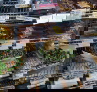 Haynes Street Larder - Accommodation Southport