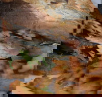 Oasis by the river restaurant  cafe - Accommodation Southport