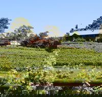 djinta djinta Winery - Southport Accommodation