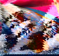 Donut King - Taylors Lakes - Accommodation Southport