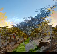 Ruddenklau Wines - Accommodation Southport