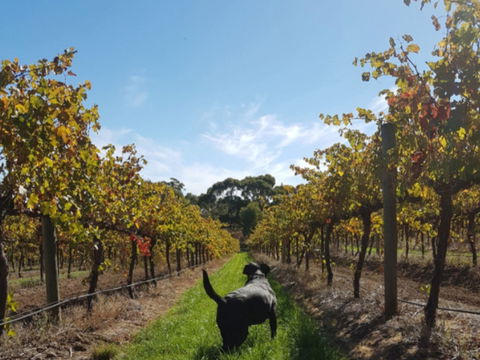 Ruddenklau Wines - Southport Accommodation 0