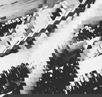 The Cordial Bar - Accommodation Southport