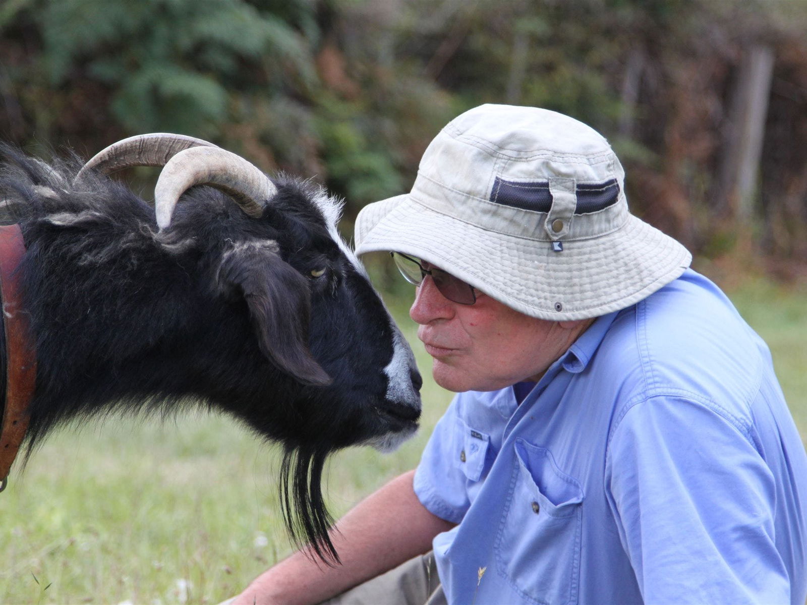  Accommodation Southport