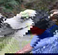 Providence Vineyards - Accommodation Southport