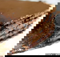 The Best Chocolate Cake - Accommodation Southport