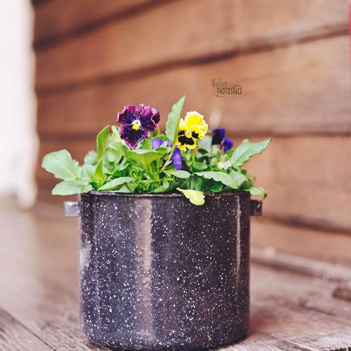 Gilgering WA Accommodation Southport