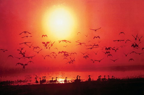 TINH And LAN Vietnamese Restaurant - Accommodation Southport 0