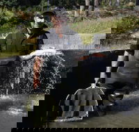 41 Degrees South Tasmania - Southport Accommodation