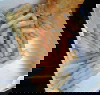 Daily Catch - Southport Accommodation