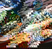 Luxe Fish - Accommodation Southport