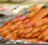 Mathoura Mandarins - Southport Accommodation