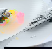 Old England Hotel - Southport Accommodation