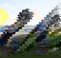 Sunhill Dairy Goats and Sunhill Skin Essentials - Accommodation Southport