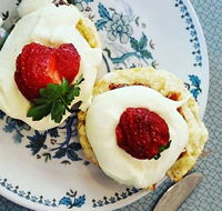 Cuisines - Southport Accommodation