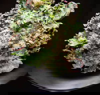 Arthur Waterhouse Lounge - Accommodation Southport