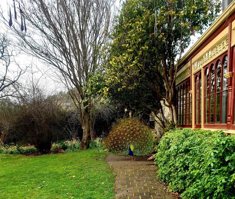 Glen Derwent Tea Rooms - Accommodation Southport 0