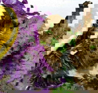 Noor Mahal Indian Restaurant - Accommodation Southport