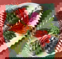 Olive Bus Clare - Accommodation Southport