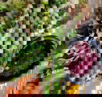 Stone cold - Southport Accommodation