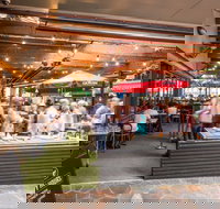 Henry  The Fox - Southport Accommodation