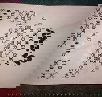 Bubba Pizza - Mount Barker - Accommodation Southport