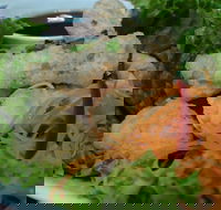 Green Bamboo - Southport Accommodation