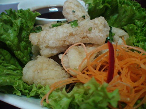 Green Bamboo - Southport Accommodation 0