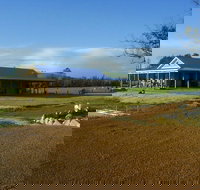 Thomson Brook Wines - Southport Accommodation