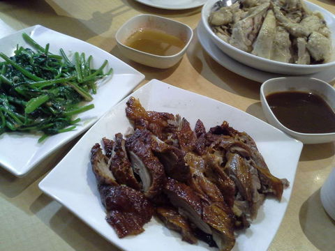 G Tree Cafe - Southport Accommodation 0