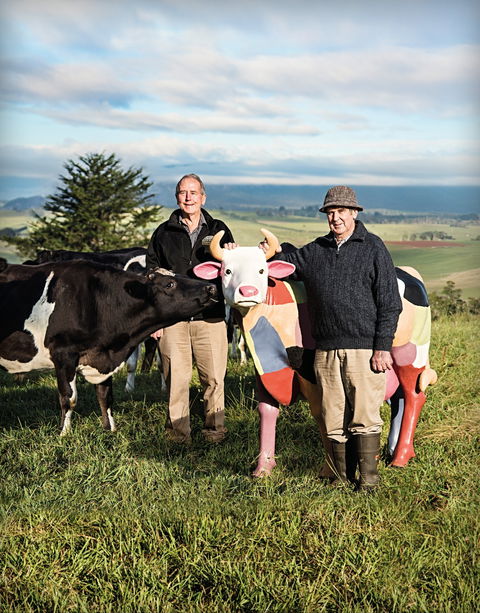 Ashgrove Farm Cheese - Southport Accommodation 1