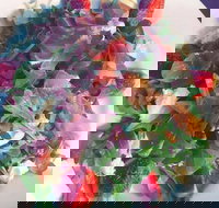 Cafe Bella Rosa - Southport Accommodation