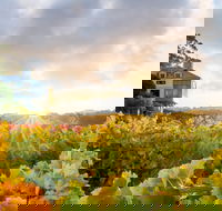 Hahndorf Hill Winery - Accommodation Southport