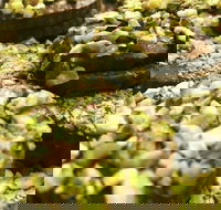 O' La La Sweets - Southport Accommodation