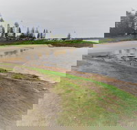 South West Rocks Country Club - Accommodation Southport