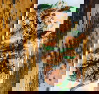 The River Hotel - Accommodation Southport