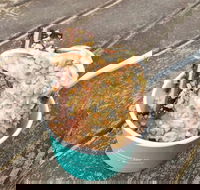 Blue Door - Southport Accommodation