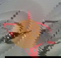 Indian Garden Restaurant - Accommodation Southport