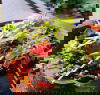 The Berry Farm Cottage Caf - Accommodation Southport